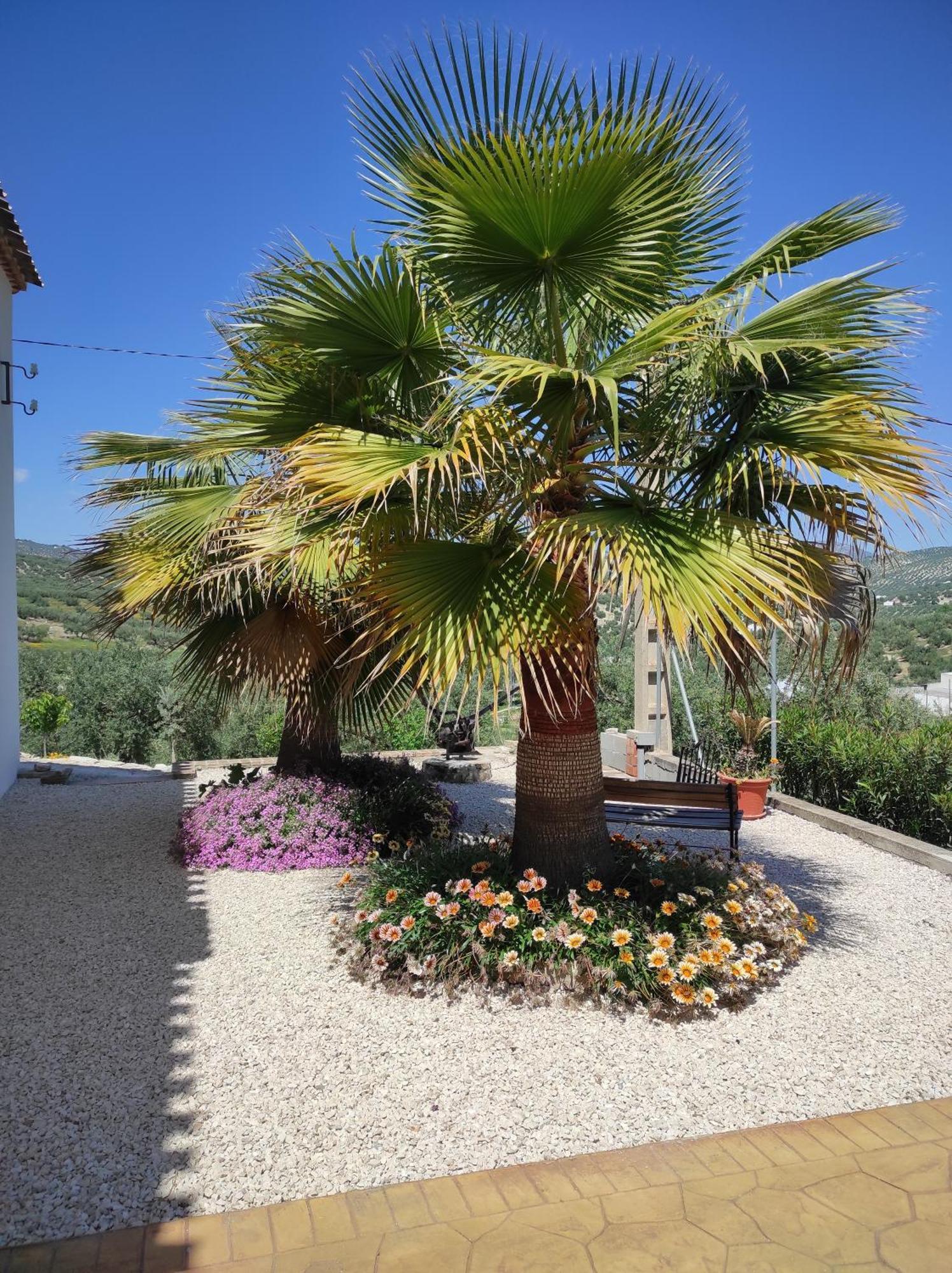 Las Marrojas, Secluded Tudor Country Cottage Algarinejo Екстер'єр фото